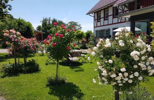 Waggershausen Casa | Landgut Apfelrose