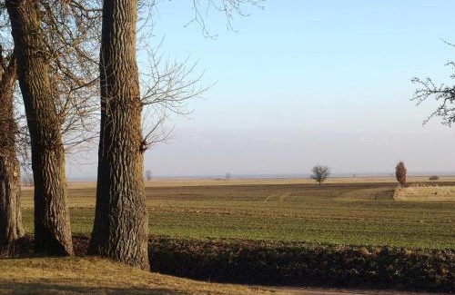 Stolpe auf Usedom Casa | Landhaus am Haff Wohnung B 8