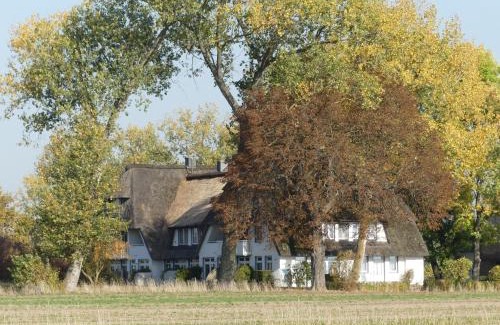 Stolpe auf Usedom Apartamento | Landhaus am Haff