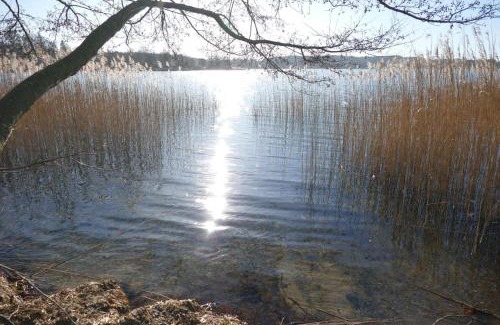 Ponitz am See Apartamento | Landhaus am See App. 2