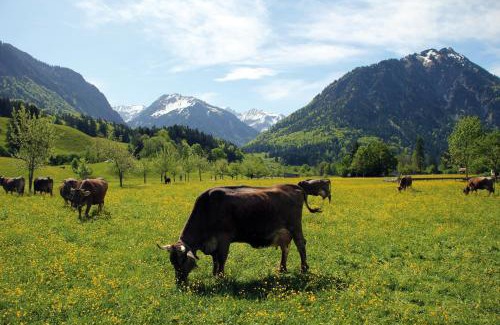Oberstdorf Apartamento | Landhaus Berktold