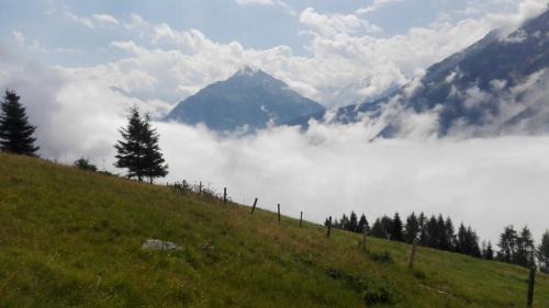 Vorderlanersbach Apartamento | Landhaus Dora