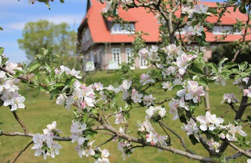 Muritz Apartamento | Landhaus Fünfseen