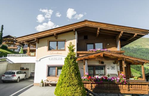 Vorderlanersbach Apartamento | Landhaus Geisler