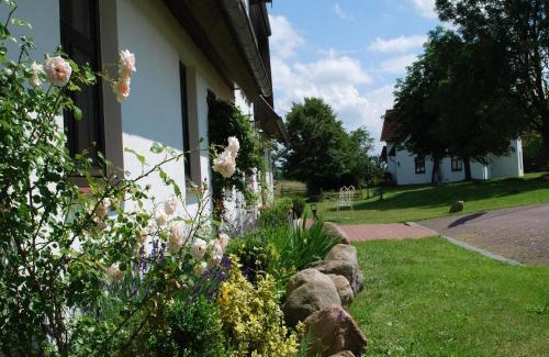 Dargun Casa | Landhaus mit Schwimmbad in Dargun, cleaning included