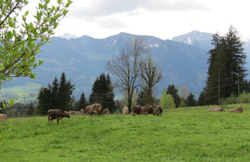 Ofterschwang Apartamento | Landhaus Tröster