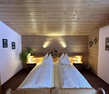 Filzmoos Apartamento | Landhaus Zwanzleitner