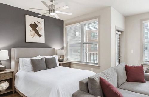 Plaza Midwood Apartamento | Landing at One305 Central - Studio in Plaza Midwood