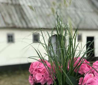 Genner Apartamento | Landligt ophold på Midtgård
