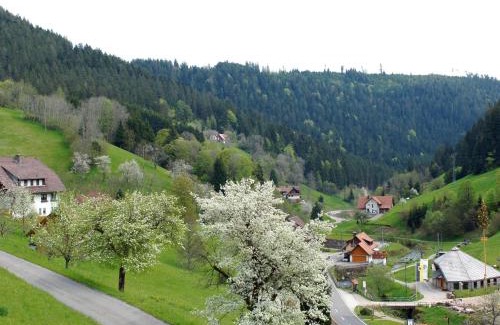 Bad Rippoldsau-Schapbach Apartamento | Landpension Am Sommerhang