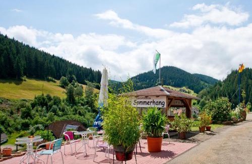 Bad Rippoldsau-Schapbach Apartamento | Landpension Am Sommerhang