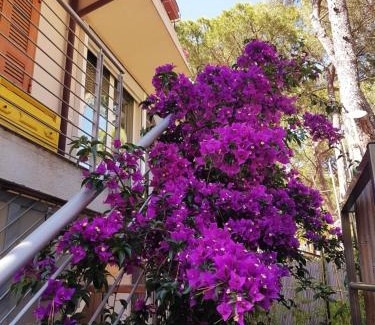 Castiglione della Pescaia Apartamento | Lara Elite