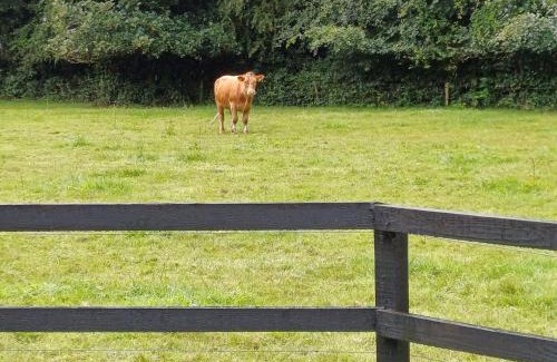 Kilcock Casa | Lara, Maynooth W23P9H6