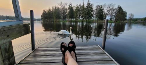 Paw Paw Casa | Large 1 BR Cottage, KING BED on the Lake