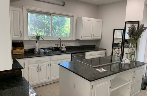 Anacostia Casa | Large and Spacious Urban Oasis in Historic Home, Pet Friendly