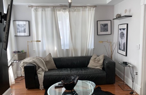Anacostia Casa | Large and Spacious Urban Oasis in Historic Home, Pet Friendly