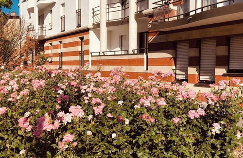 Saint-Pierre - Rene II - Bonsecours Apartamento | Large apartment T2 48 M2 - Place des Vosges & Sciences po area