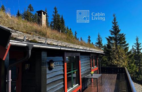 Ringsaker Casa | Large cabin at Sjusjøen with sauna, fireplace, view and cross-country skiing