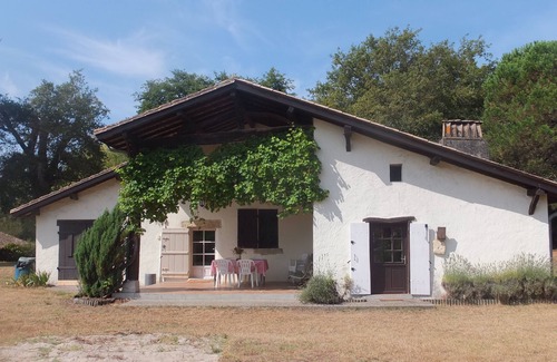 Villandraut Cabaña | Gran casa encantadora de las Landas ubicada en el sur de Gironda: 9 camas