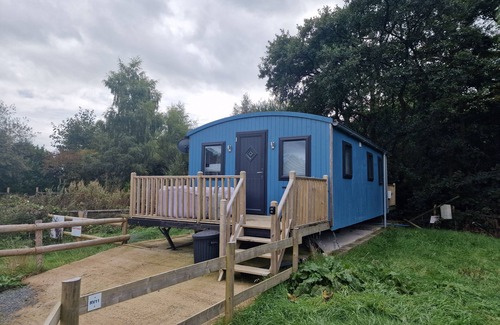 Llanfair Caereinion Cabina | Large Glamping Hut - Riverview 13
