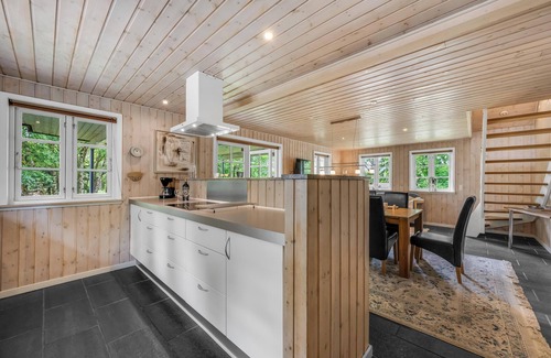 Skjern Casa | Large holiday home with large outdoor wilderness bath and activity room, only.