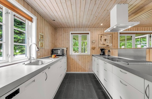 Skjern Casa | Large holiday home with large outdoor wilderness bath and activity room, only.