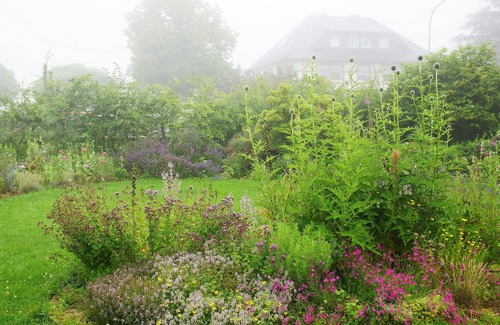 Vossenack Casa | Large house with its own garden in the Eifel Venn Nature Park