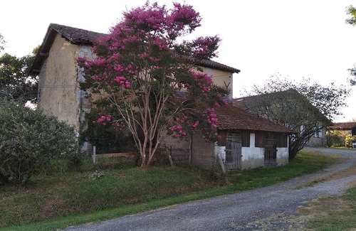 Saugnac-et-Cambran Otro | Large Landes house with swimming pool, very quiet, south of DAX
