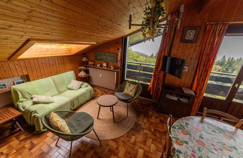 Thollon-les-Memises Apartamento | Large mountain flat with a stunning view of Lake Geneva