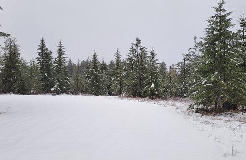 Harvard Alquiler De RV | Large RV site with full hookups, surrounded by trees and nature.