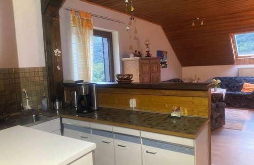 Dhron Apartamento | Large vacation apartment in Germany's oldest wine village. Great cycling and hiking trails.