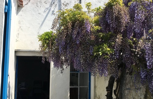 Ile d'Yeu Casa | Large village house in Saint Sauveur-Ile d'Yeu (France) - 4 bedrooms