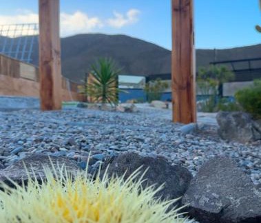 El Molle Apartamento | Las Alpinas del valle