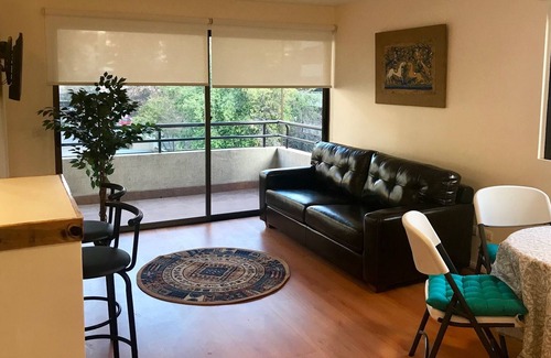 Providencia Apartamento | Las Camelias cerca de Costanera Center