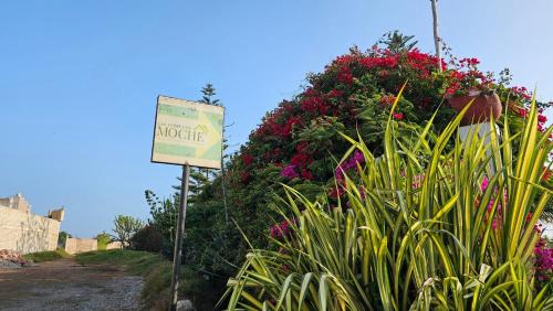 Moche Casa | Las Flores de Moche