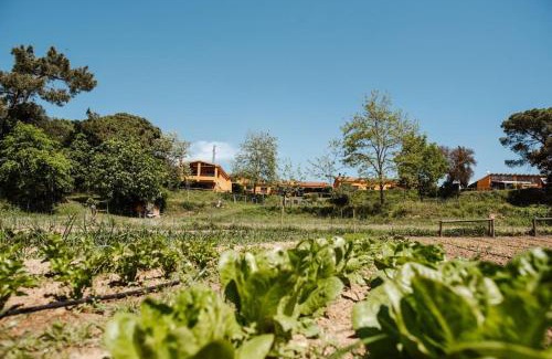 Tordera Casa | Las HORTENSIAS casa rural en el campo