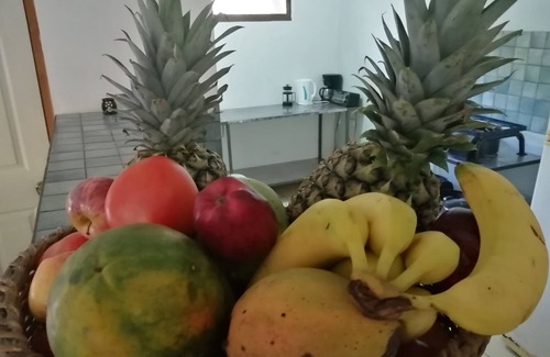 Coco Casa | Las Quintas Casas para Vacacionar