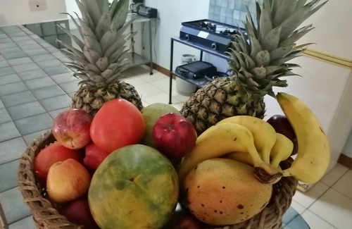 Coco Casa | Las Quintas Casas para Vacacionar