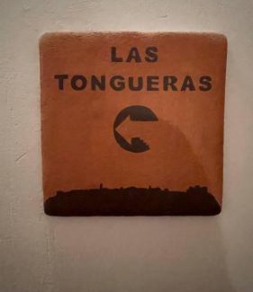 Pedraza Apartamento | Las Tongueras
