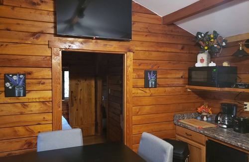 Jones Mills Cabina | Laurel Highland Resort Retreat