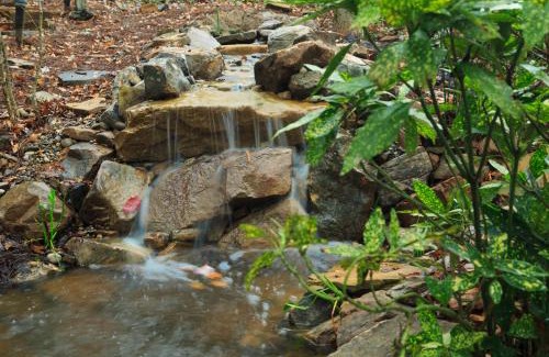 Townsend Hotel | Laurel Valley Resort