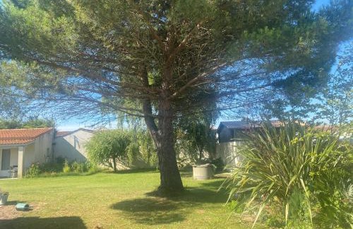 La Faute-sur-Mer Casa | Laurier rose