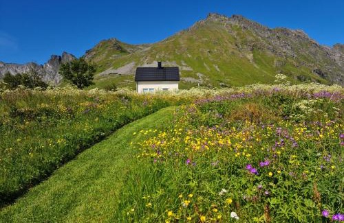 Vestvagøy Casa | Lauvåsstua-Charming house by the sea