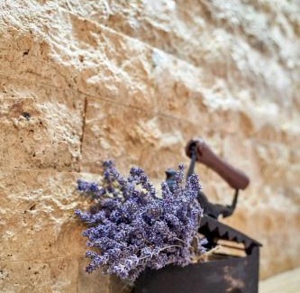 Viseu de Sus Apartamento | Lavand House