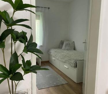 Inija Casa | Lavanda 3