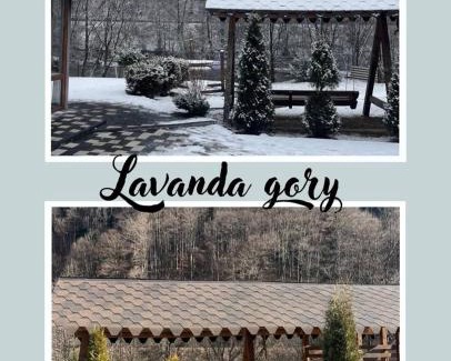 Dilove Casa | lavanda gory