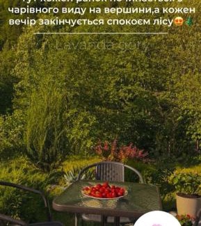 Dilove Casa | lavanda gory