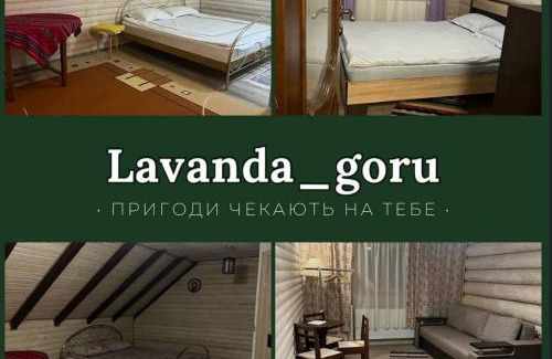 Dilove Casa | lavanda gory