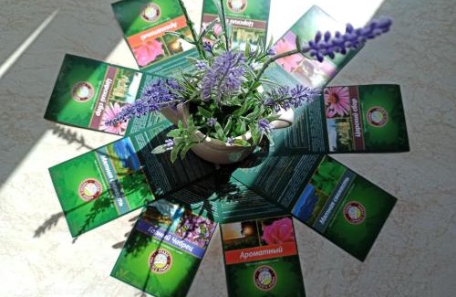 Heviz Apartamento | Lavender