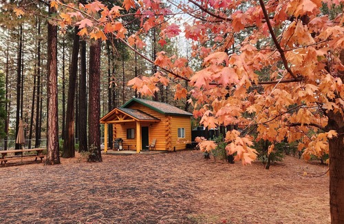 Forest Ranch Cabaña | Lavender Log Home Cottage